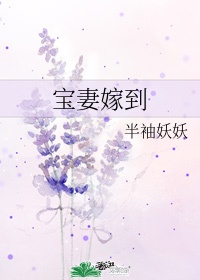 《宝妻嫁到》作者:半袖妖妖