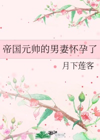 帝国元帅的男妻怀孕了