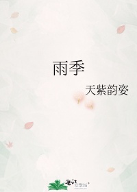 雨季小说txt