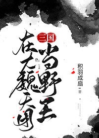 在大魏天团当野王三国